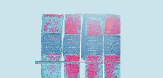 Política de Privacidade