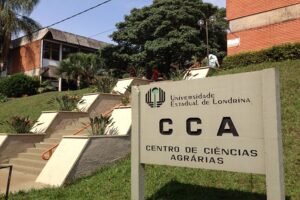 A Educação Filosófica de Crianças, Adolescentes e Jovens